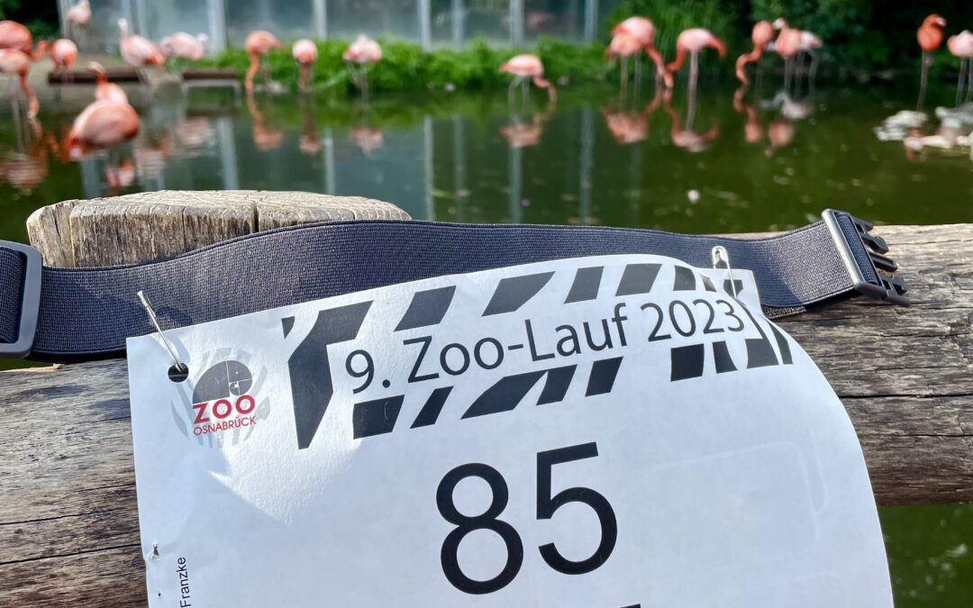 27.06.2023 | Zoo-Charity-Lauf Osnabrück und Isselhorster Nacht